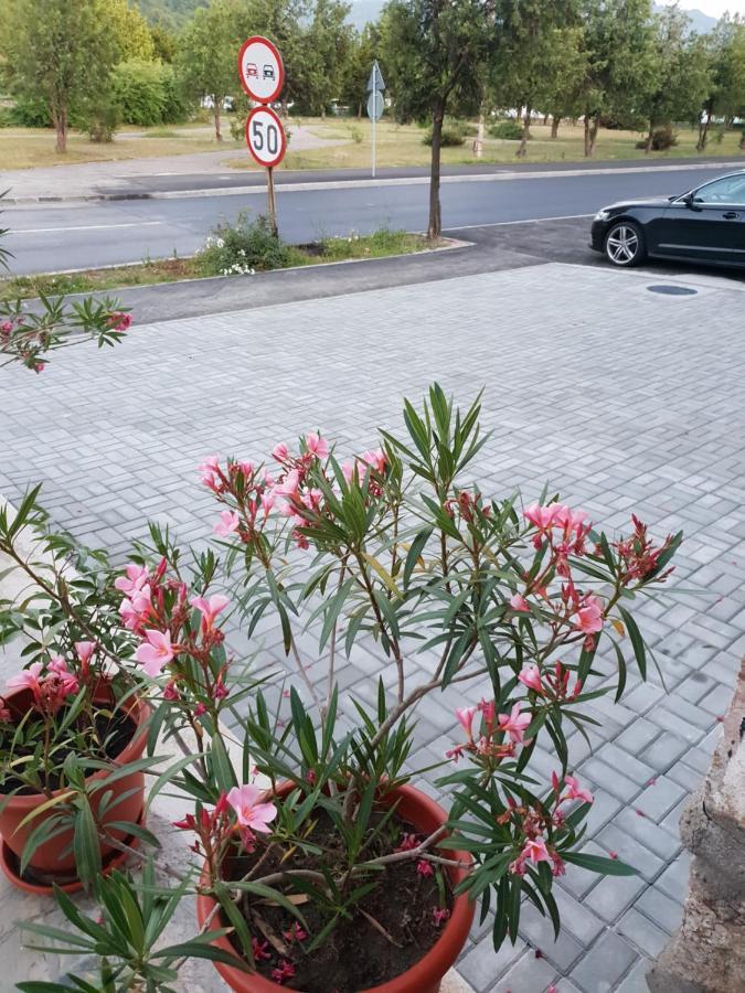 Villa Pretty Garden Orşova Exterior foto